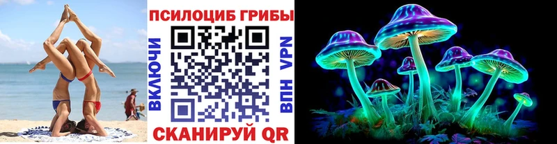 Псилоцибиновые грибы Cubensis  Кизляр 